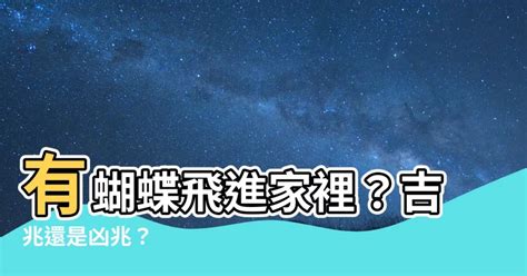 家裡有蝴蝶|蝴蝶飛進家，如何應對趨吉避兇？